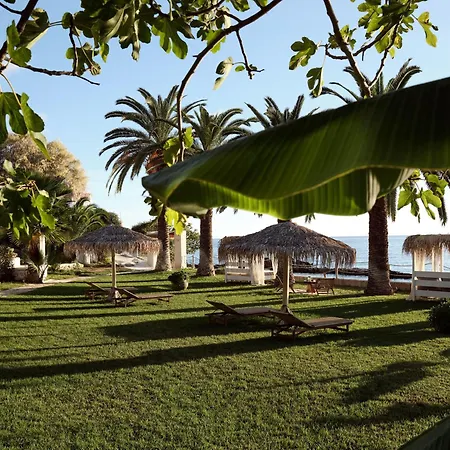 Villa Calypso Ammoudi